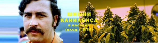 соль ск Вяземский