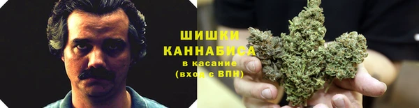 соль ск Вяземский