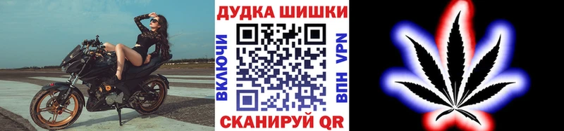 как найти наркотики Зверево Бошки Шишки SATIVA & INDICA